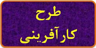 طرح توجیه فنی ، مالی و اقتصادی آموزشگاه ساخت گلهای چینی